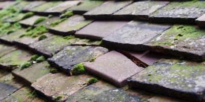 Hinxton roof repair costs